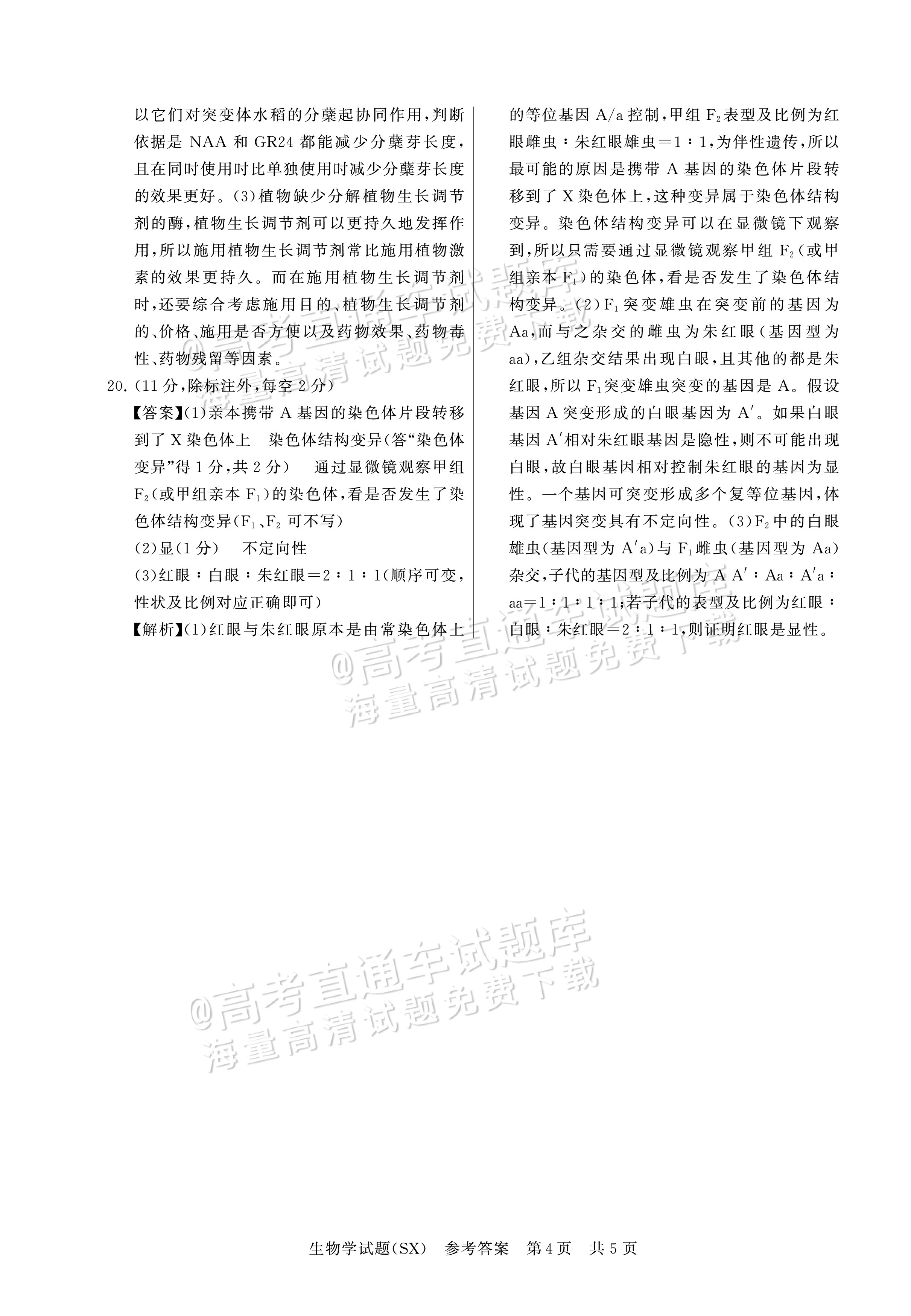 2025全国T8高三【山西卷】12月第一次联考生物试题及参考答案 第12页
