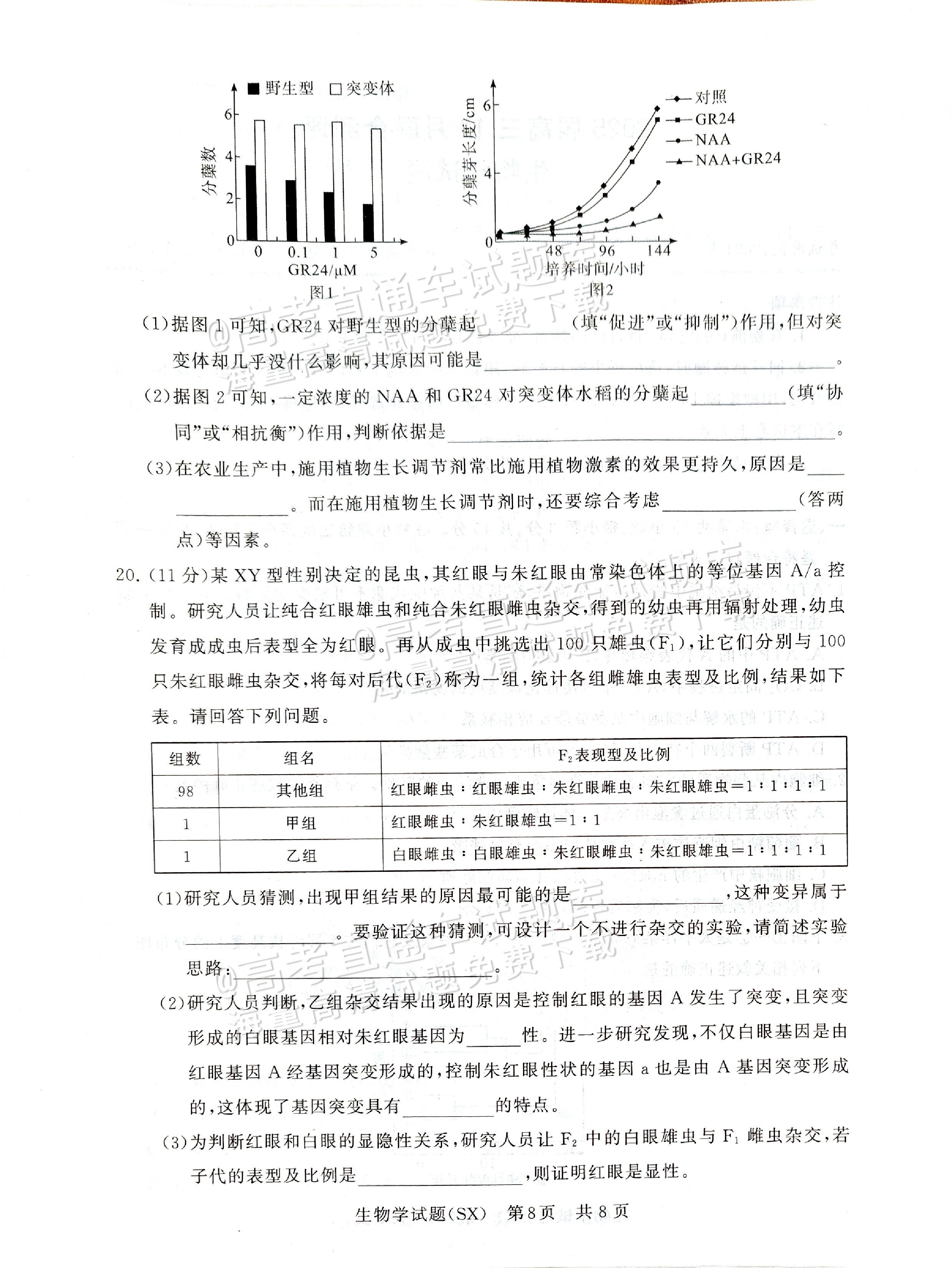 2025全国T8高三【山西卷】12月第一次联考生物试题及参考答案 第8页