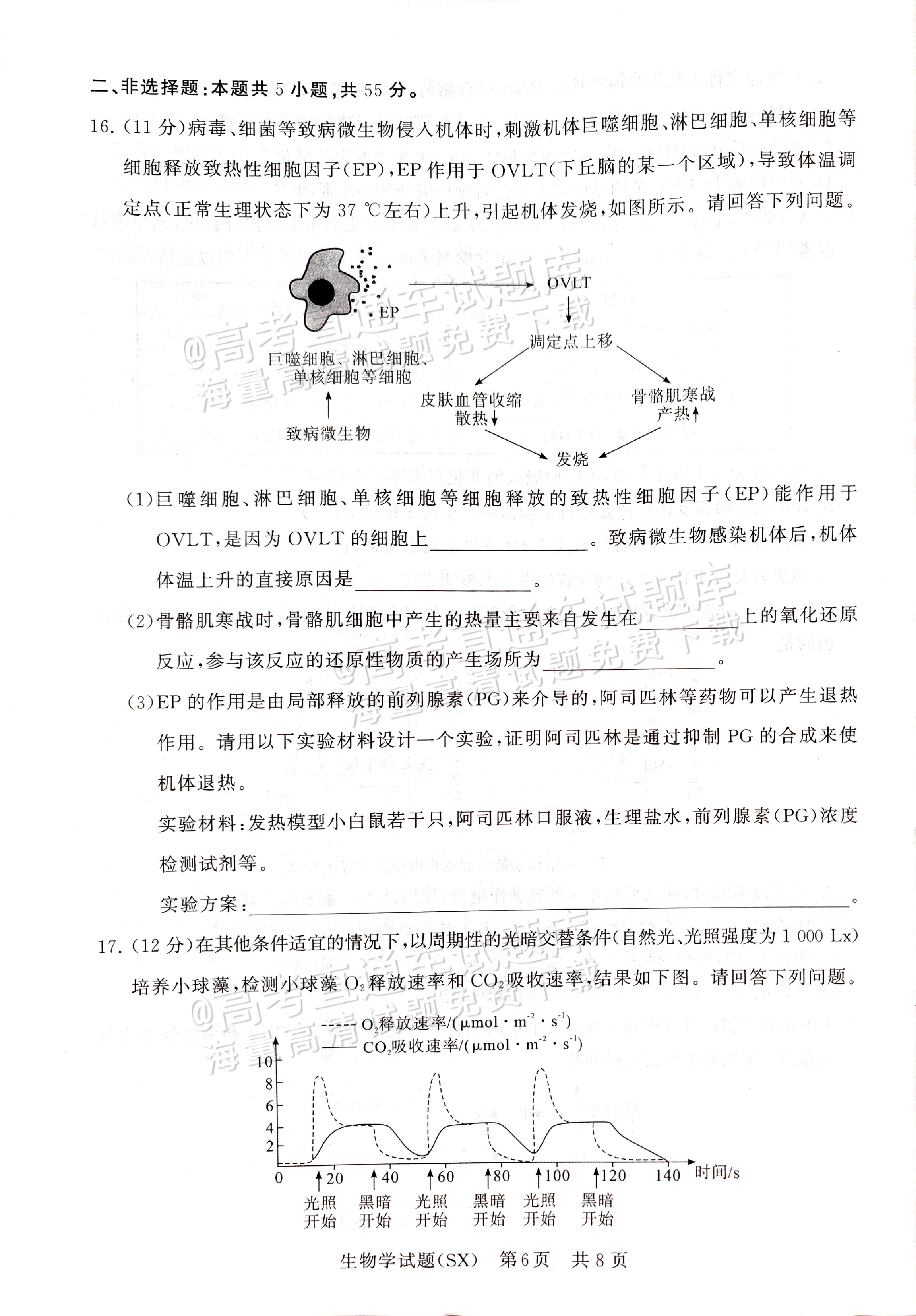 2025全国T8高三【山西卷】12月第一次联考生物试题及参考答案 第6页
