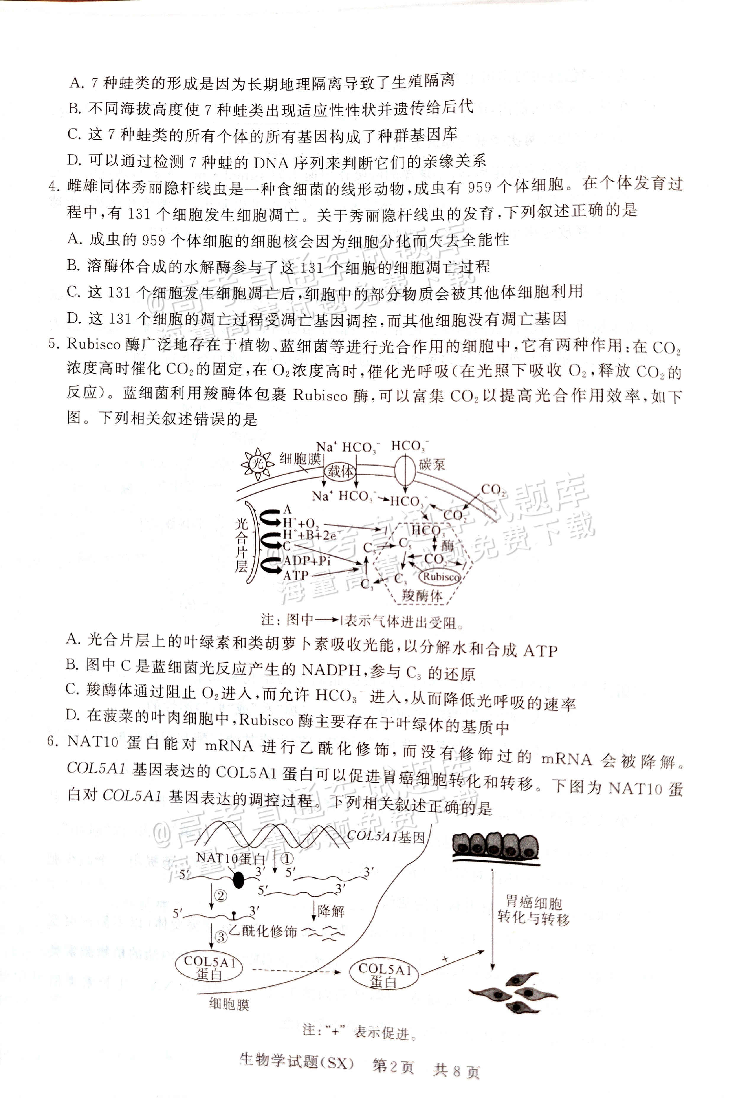 2025全国T8高三【山西卷】12月第一次联考生物试题及参考答案 第2页