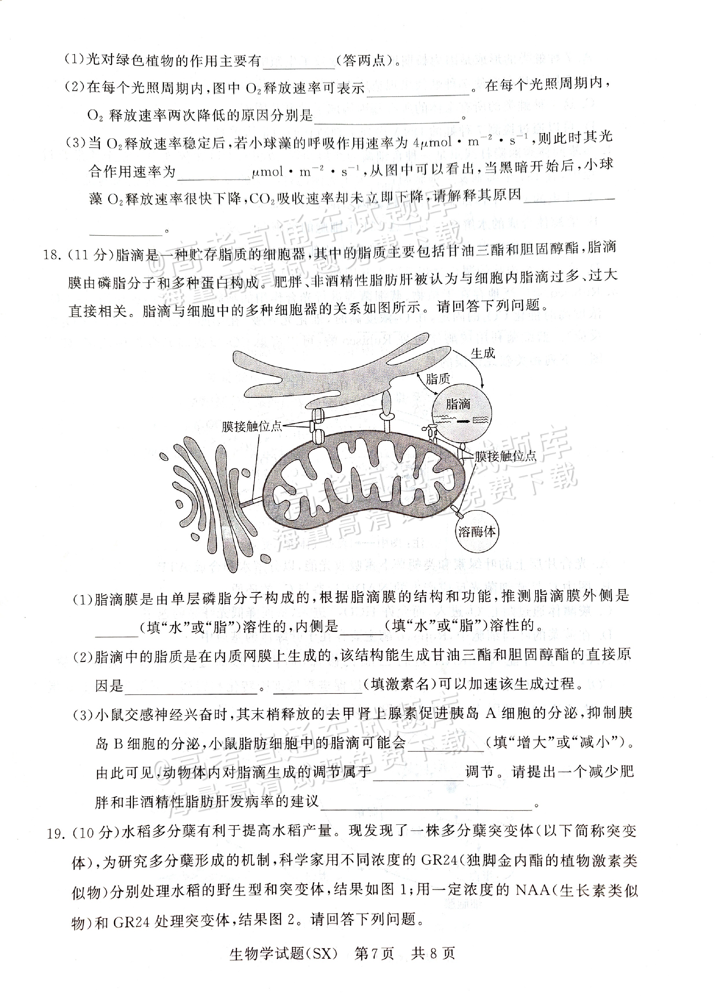 2025全国T8高三【山西卷】12月第一次联考生物试题及参考答案 第7页