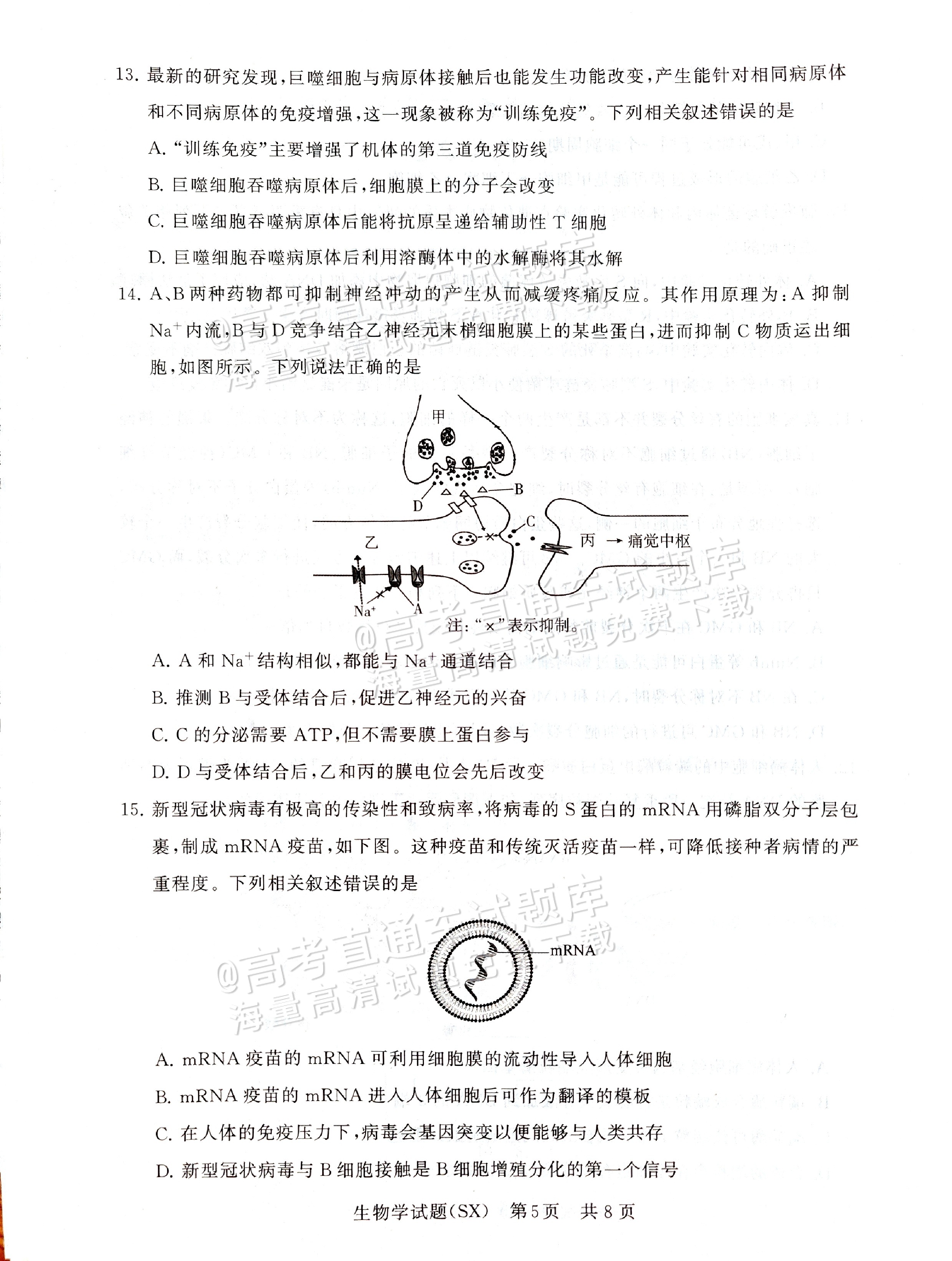 2025全国T8高三【山西卷】12月第一次联考生物试题及参考答案 第5页