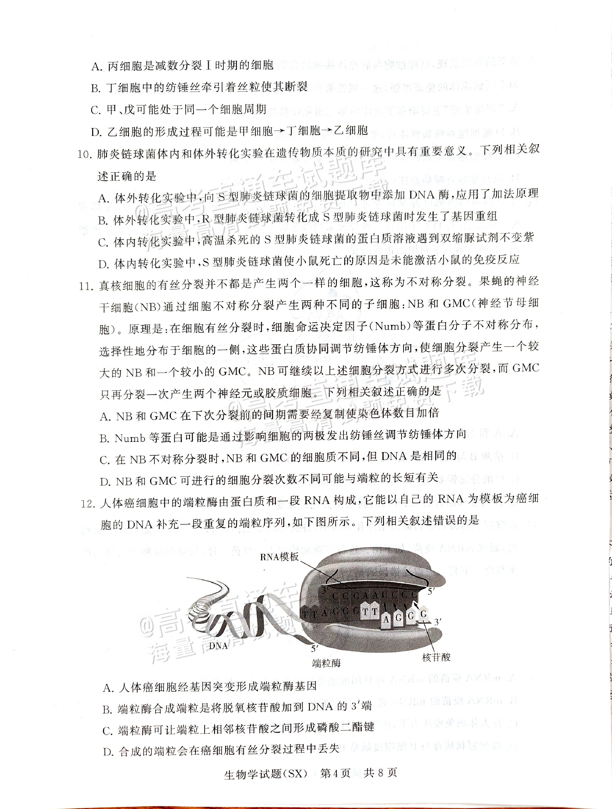 2025全国T8高三【山西卷】12月第一次联考生物试题及参考答案 第4页