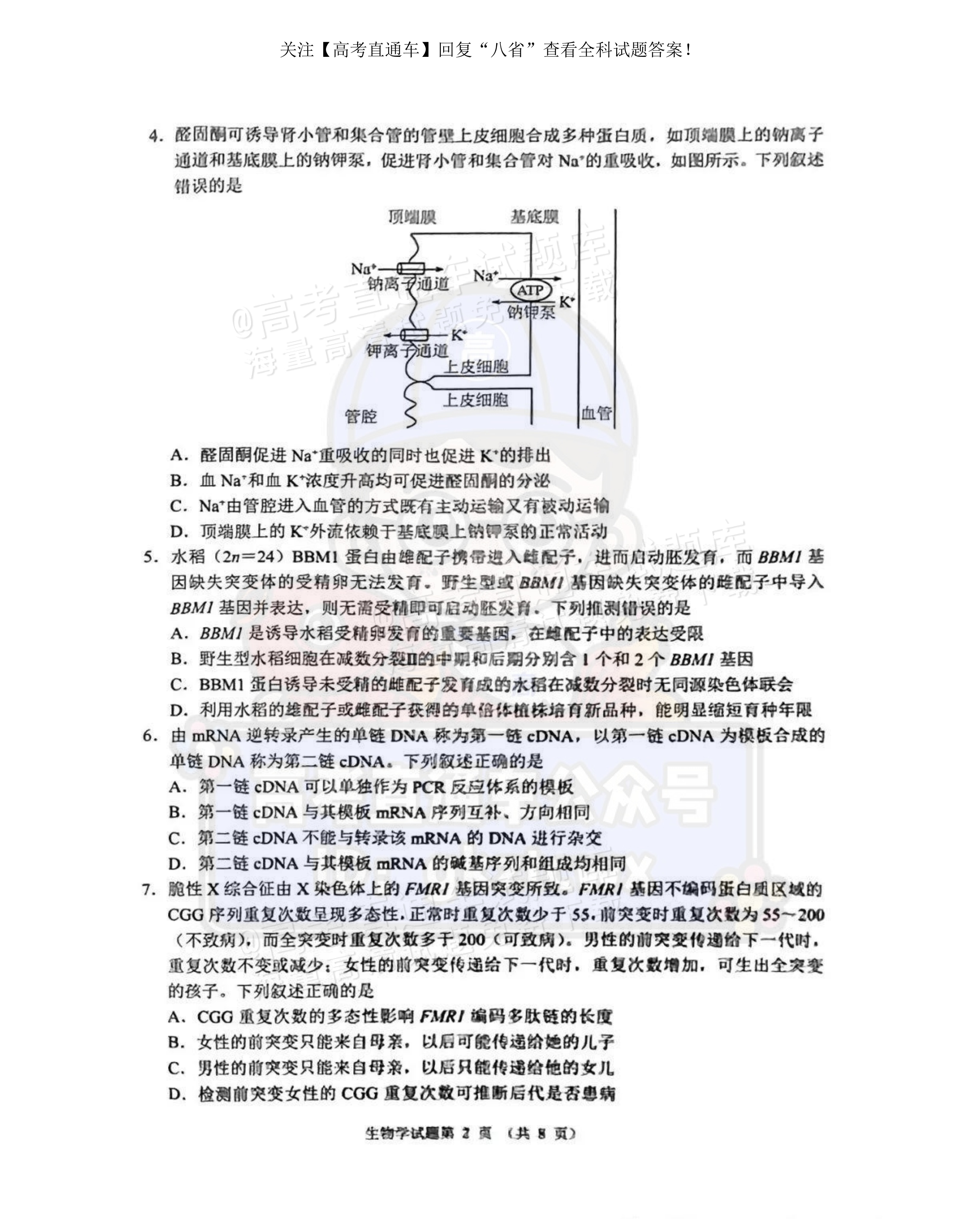 2025【八省联考河南卷】全国新高考适应性演练生物试题及参考答案 第2页