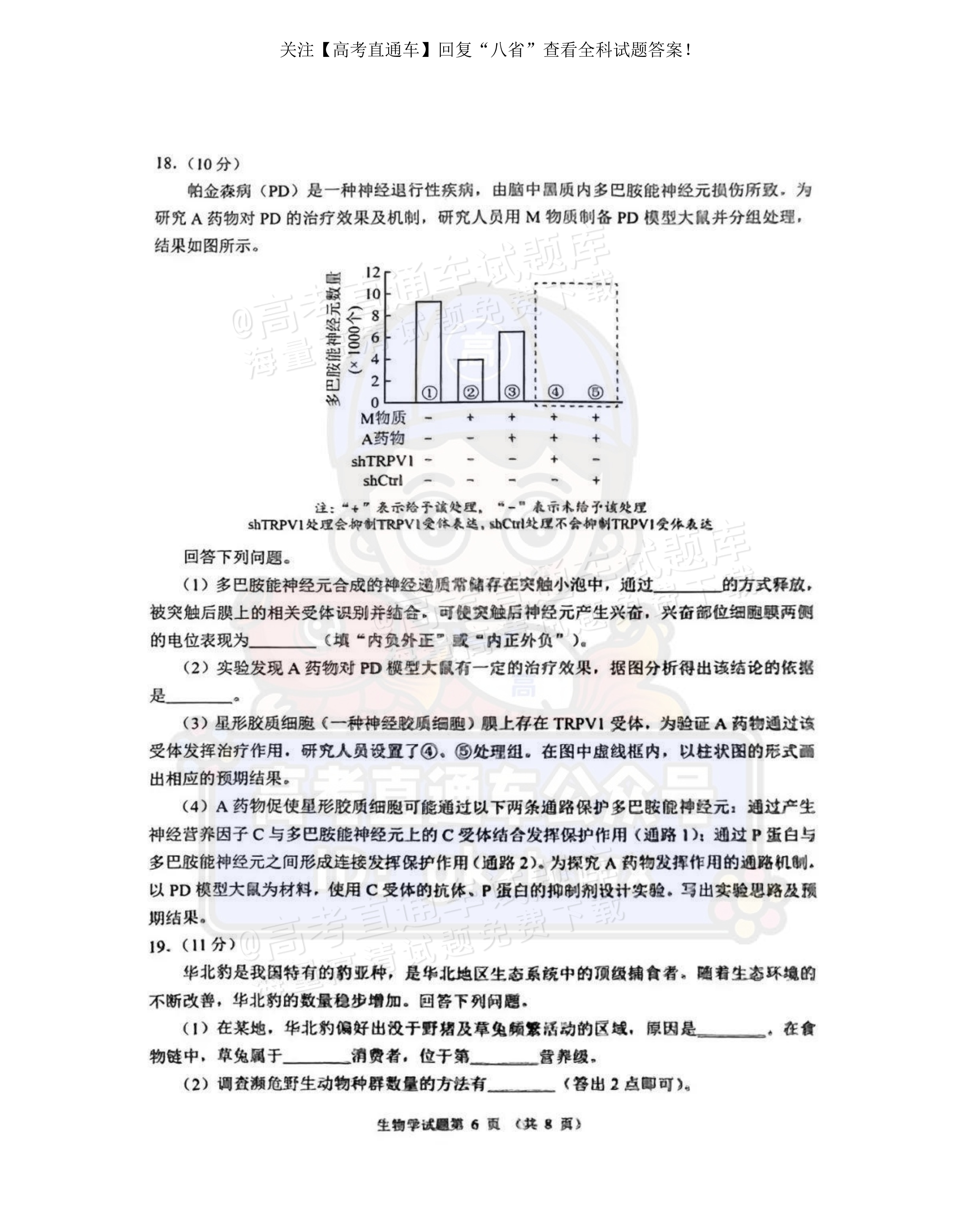 2025【八省联考河南卷】全国新高考适应性演练生物试题及参考答案 第6页