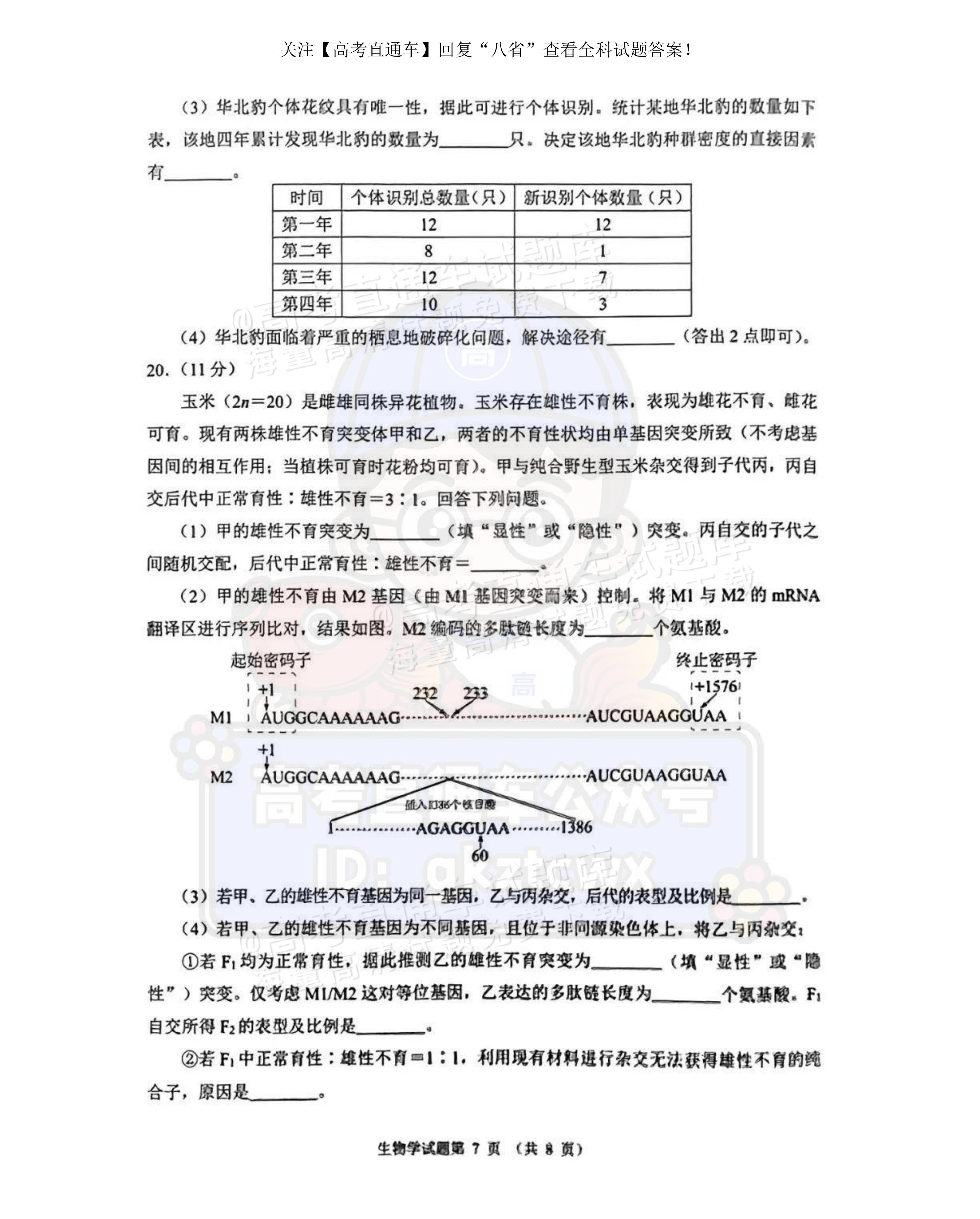 2025【八省联考河南卷】全国新高考适应性演练生物试题及参考答案 第7页