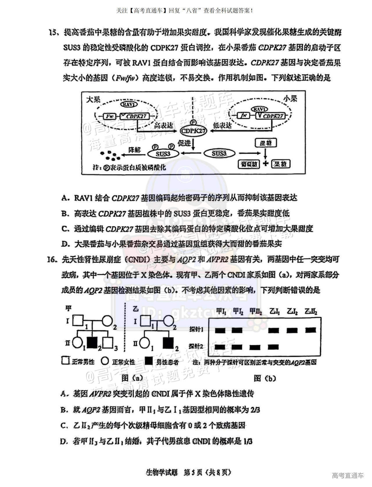 2025【八省联考宁夏卷】全国新高考适应性演练生物试题及参考答案 第5页