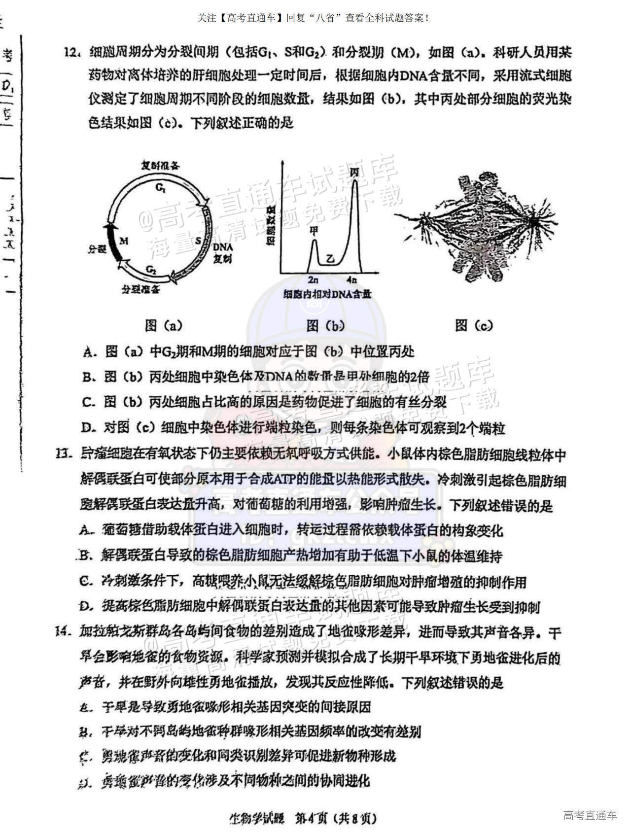 2025【八省联考宁夏卷】全国新高考适应性演练生物试题及参考答案 第4页