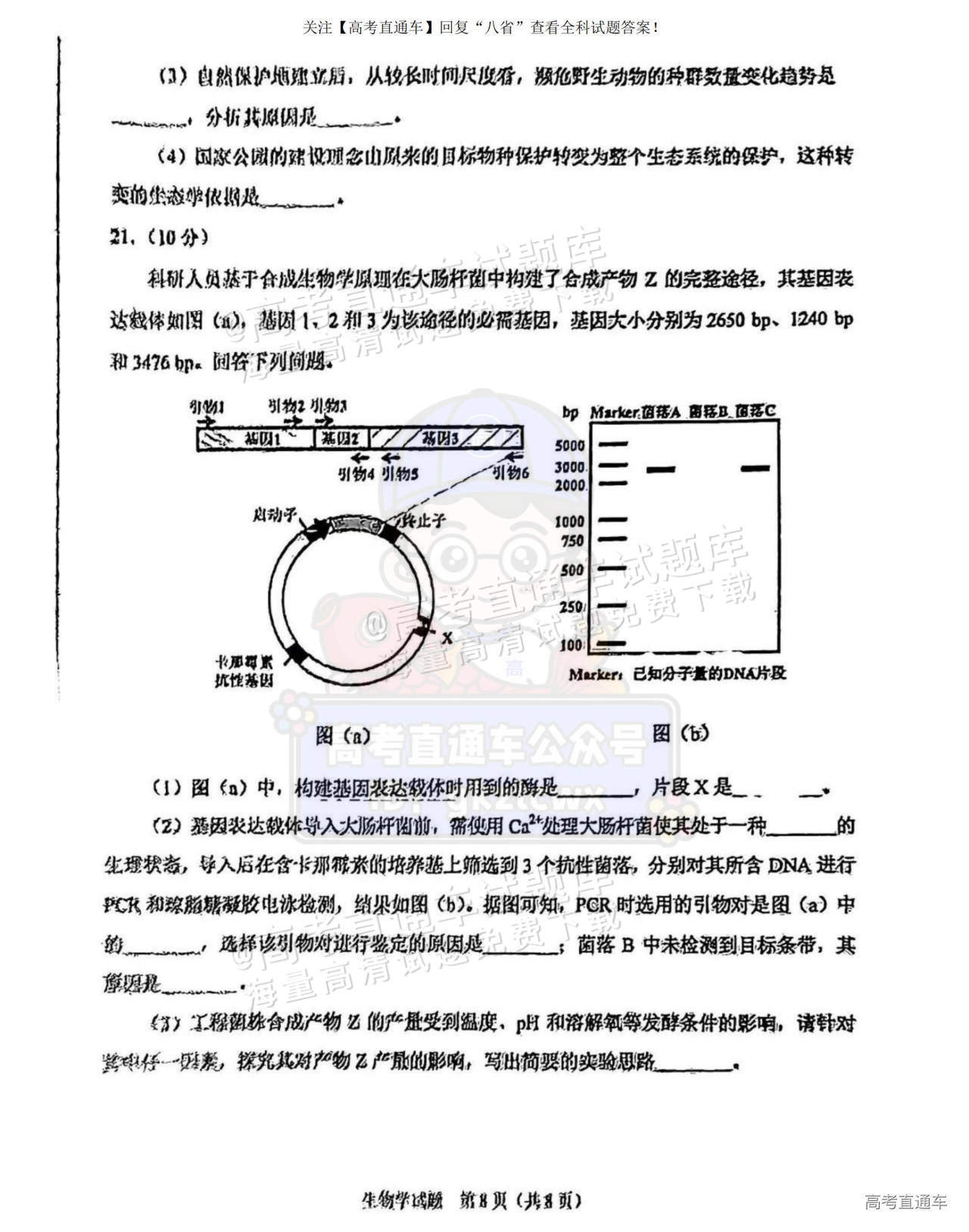 2025【八省联考宁夏卷】全国新高考适应性演练生物试题及参考答案 第8页