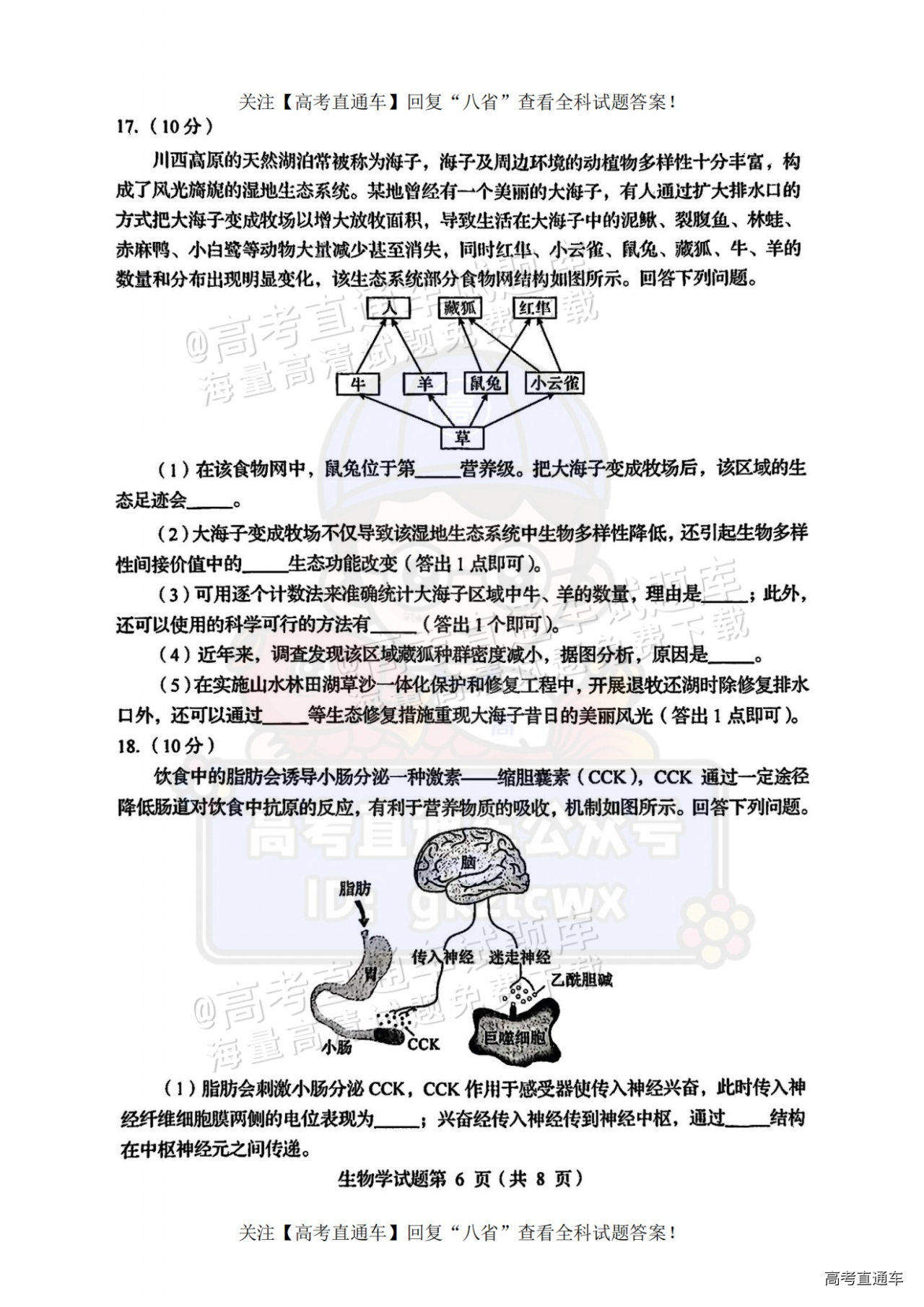 2025【八省联考四川卷】全国新高考适应性演练生物试题及参考答案 第6页