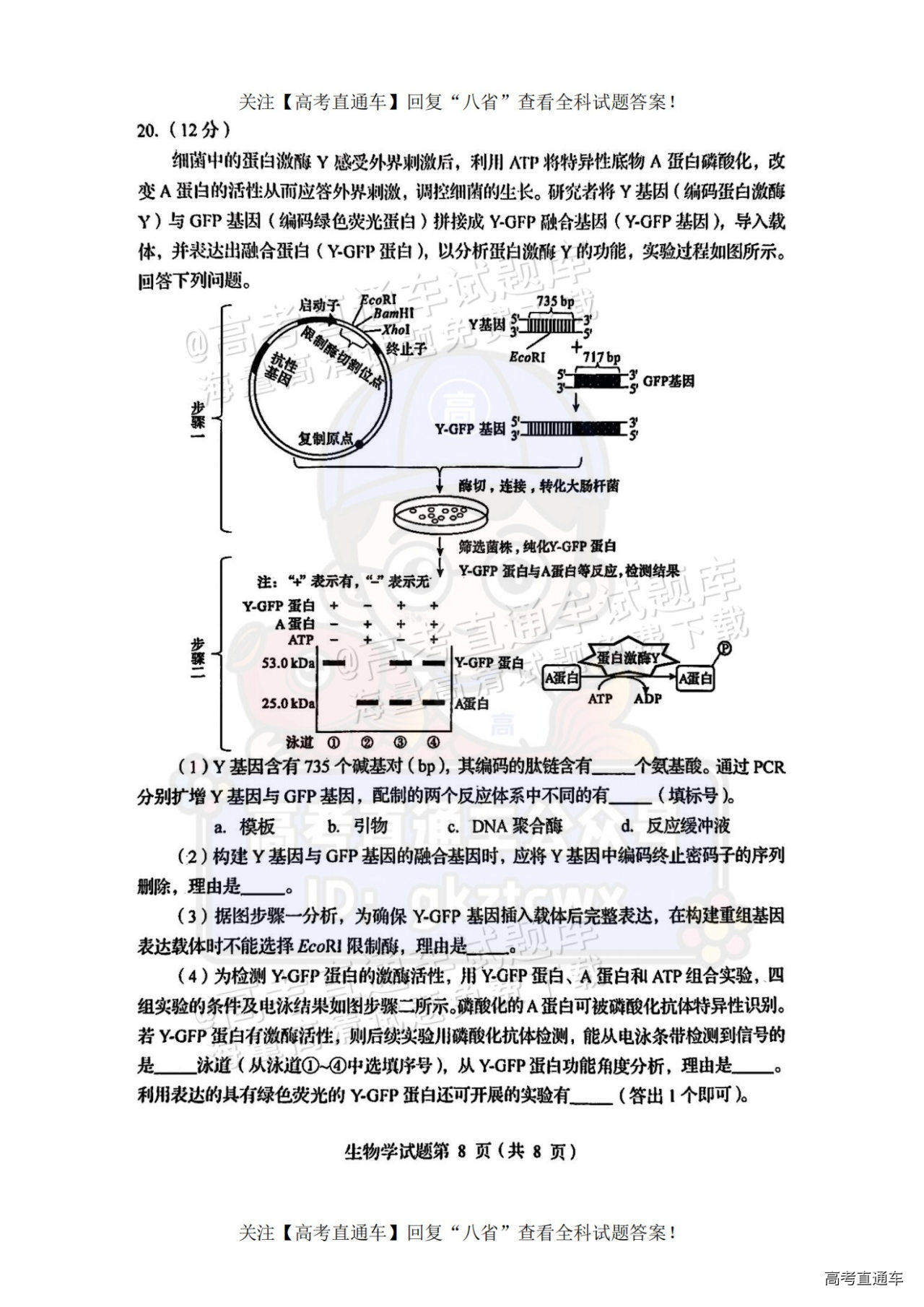 2025【八省联考四川卷】全国新高考适应性演练生物试题及参考答案 第8页