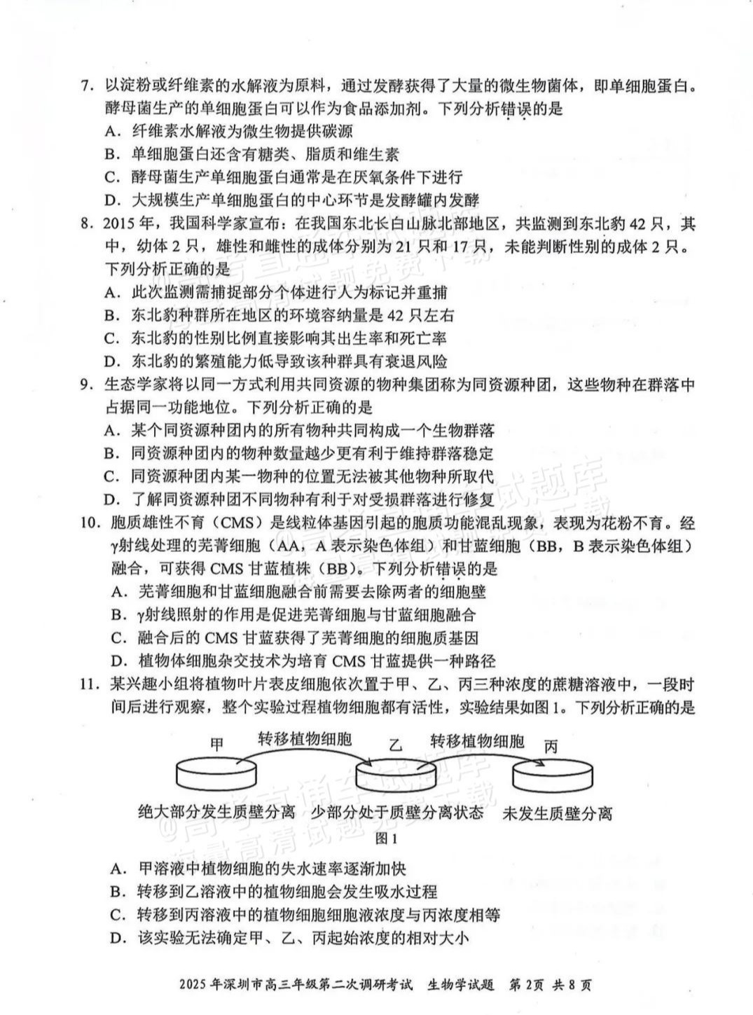 1213c6d24e593c5fd55a575377cd5b28.jpg
