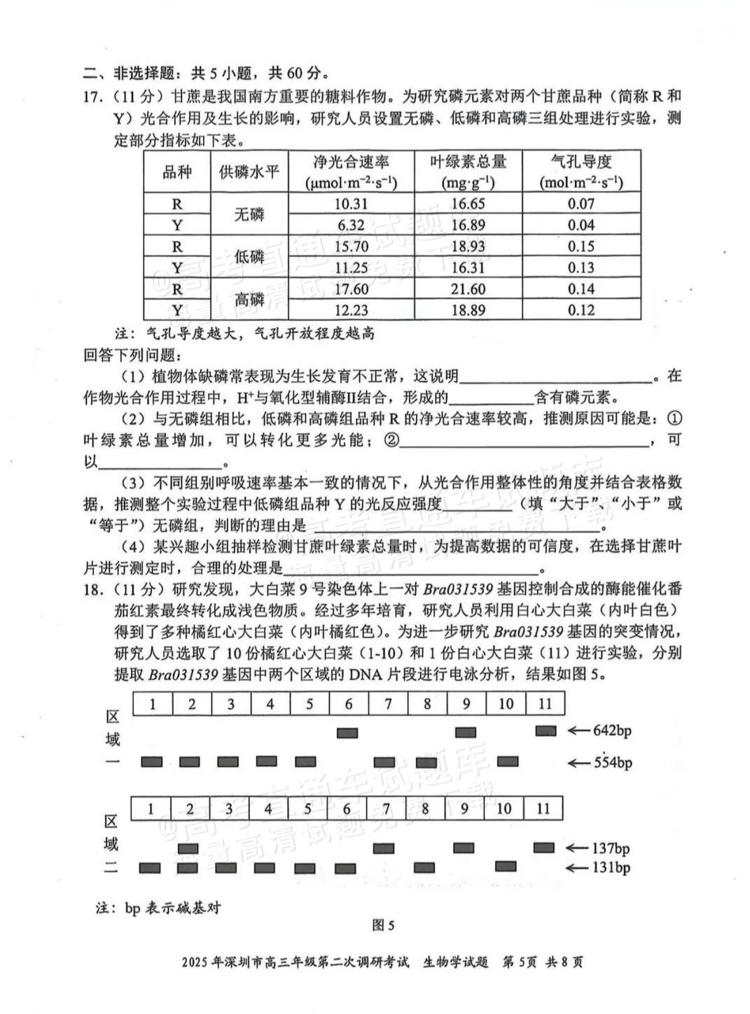 0701213d34ee8fe879d2cb52d26c4f77.jpg