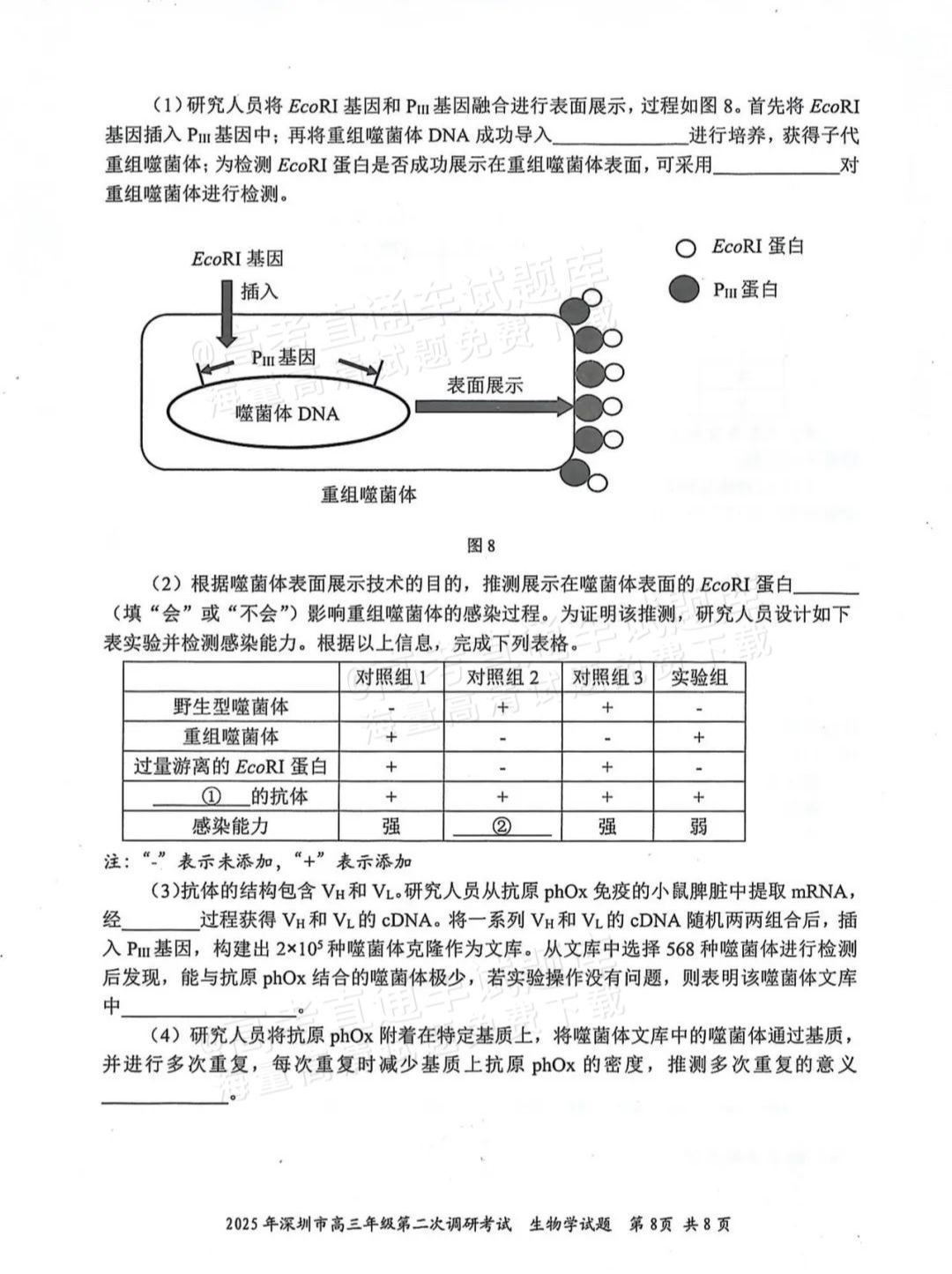 fdc630ab19085724e51de3e13c0a990b.jpg