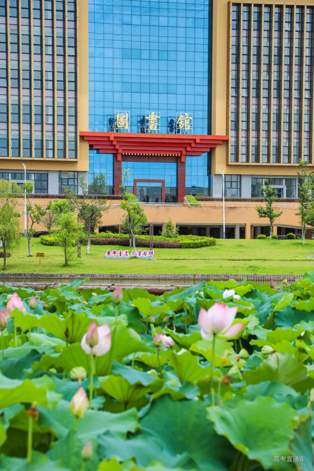 图书馆3 蒙丽娜摄.jpg