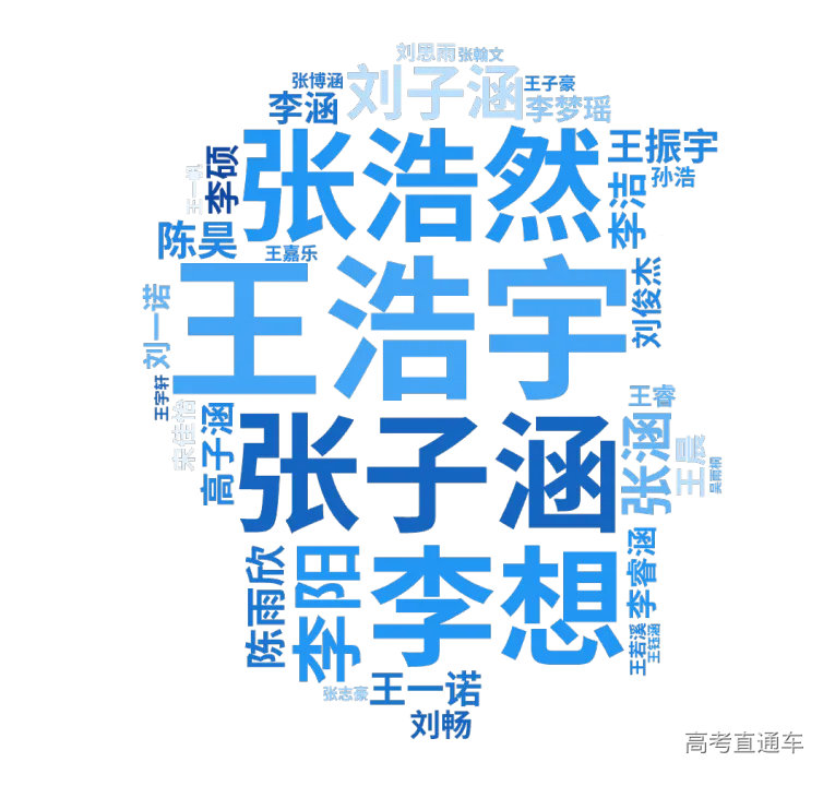 本科生名字词云图.png