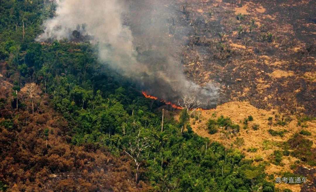 我国沙漠变森林,巴西雨林面积缩减,美媒称异常暴热或为中国原因 - 知乎