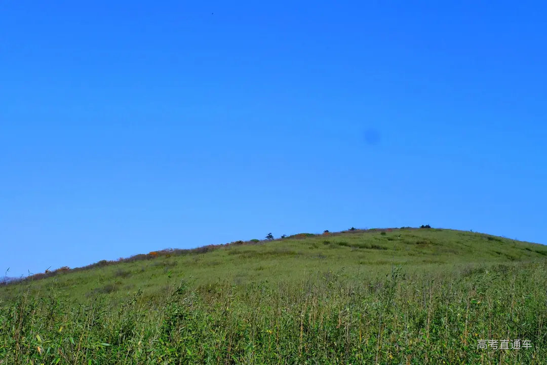 【秦岭高山草甸摄影图片】风光摄影_xinlianyong_太平洋电脑网摄影部落