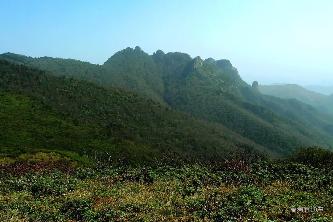 【秦岭高山草甸摄影图片】风光摄影_太平洋电脑网摄影部落