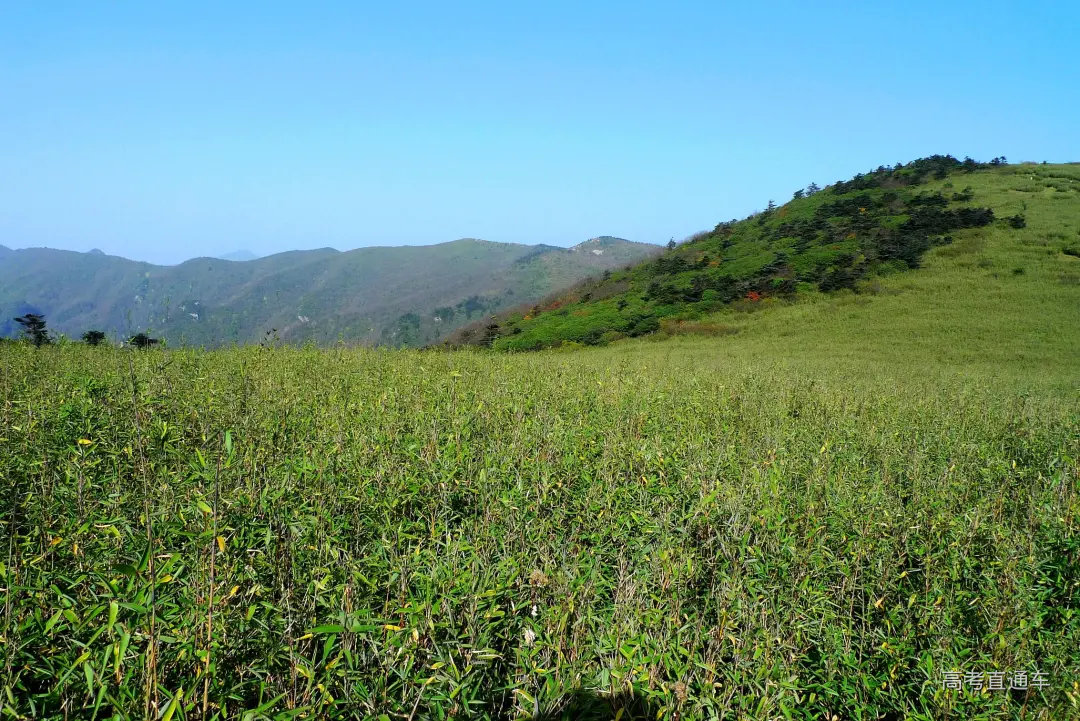 【秦岭高山草甸摄影图片】风光摄影_xinlianyong_太平洋电脑网摄影部落