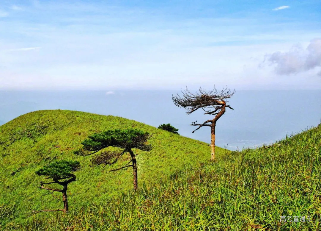 武功山丨高山草甸 春日青翠如毯,秋时芦花摇曳__财经头条