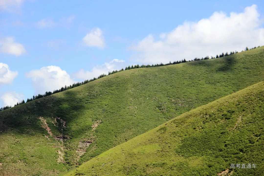 科学网—山西天镇的天路风光 - 信忠保的博文