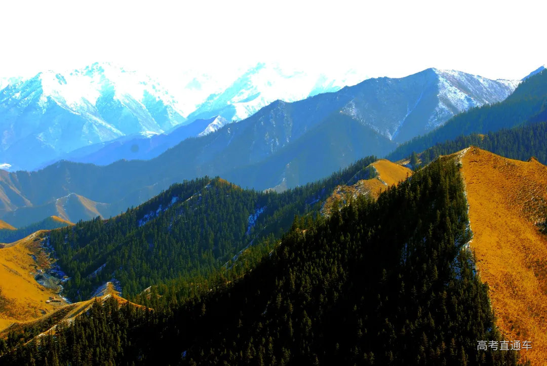 【祁连山风光系列之四—冷龙岭摄影图片】皇城草原风光摄影_大浪淘金摄影学习室_太平洋电脑网摄影部落