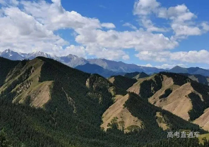 我国的祁连山地长有“阴阳脸 .即一侧山坡林木葱郁.另一侧山坡草地青翠.读图并结合所学知识完成下列各题.1.制约图中植被分布规律的因素主要是A ...