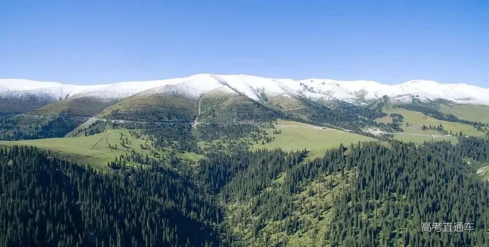 关于天山的植被分布,为什么天山北坡有云杉林分布,而南坡没有? - 知乎