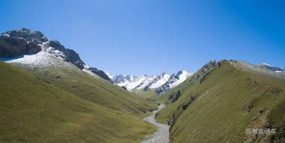 关于天山的植被分布,为什么天山北坡有云杉林分布,而南坡没有? - 知乎