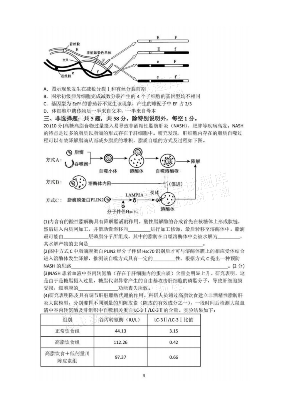 2026江苏扬州七校高三10月联考生物试题及参考答案 第5页