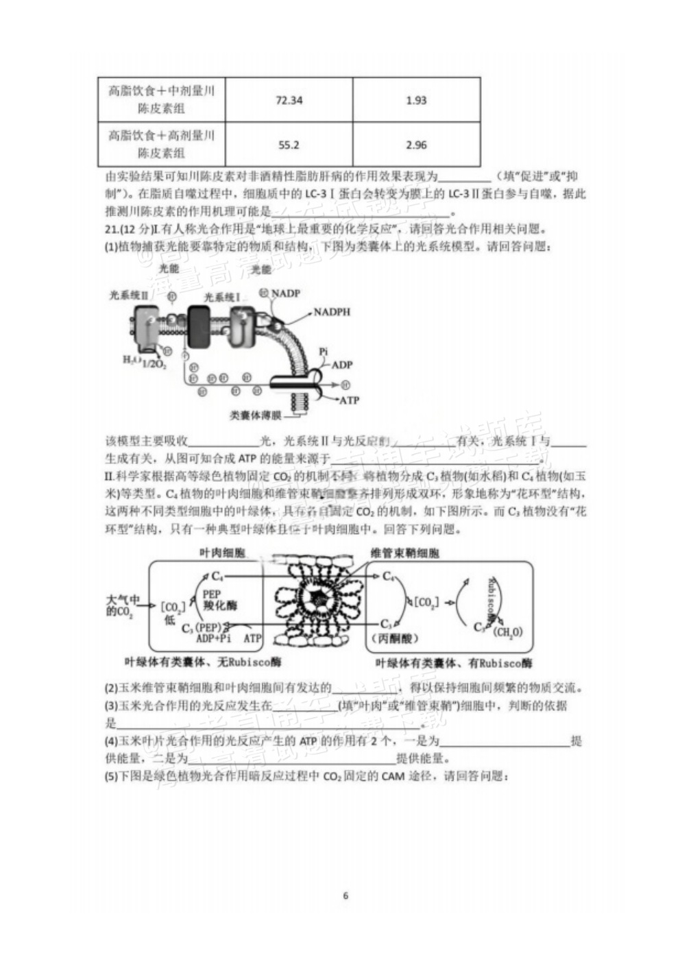 2026江苏扬州七校高三10月联考生物试题及参考答案 第6页