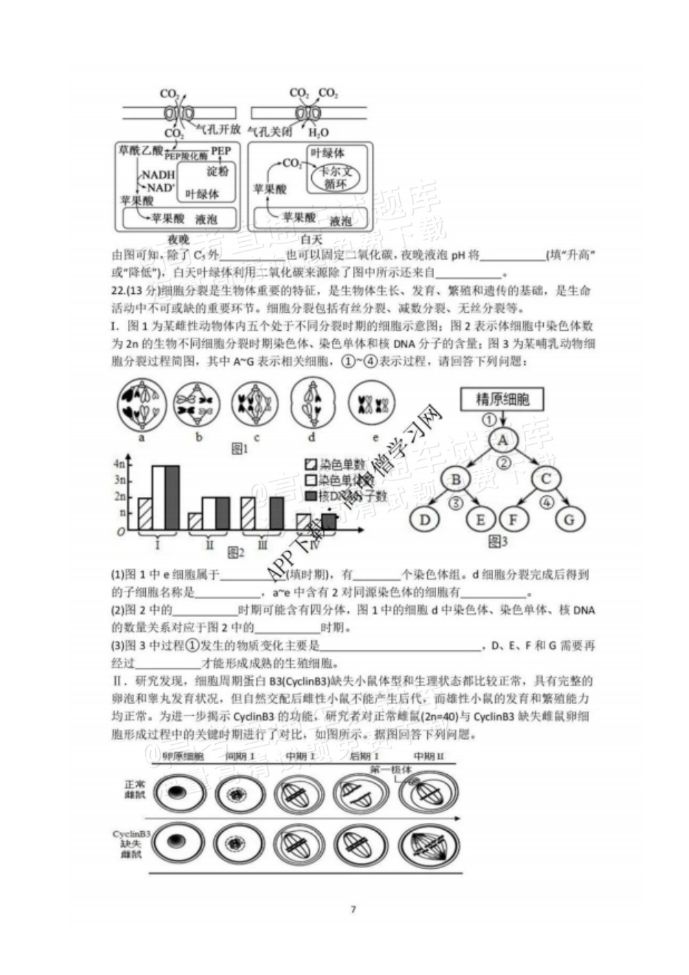 2026江苏扬州七校高三10月联考生物试题及参考答案 第7页
