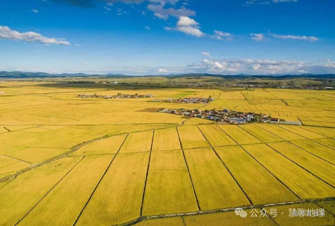 关于农业土地利用类型的划分,以我国农业用地分布为例|种植业|畜牧业|分布_新浪新闻