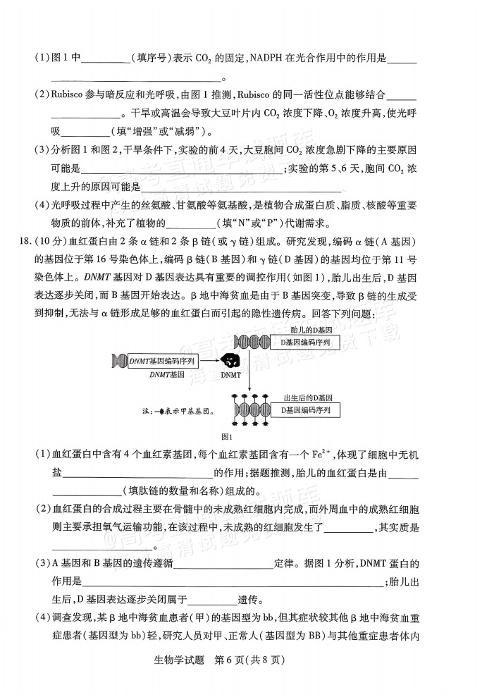2026山西高三天一小高考（一）生物试题及参考答案 第6页