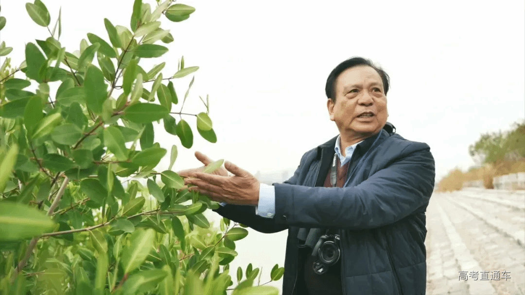 1765414976413909.png 69397917e4b078fce44a272e.png