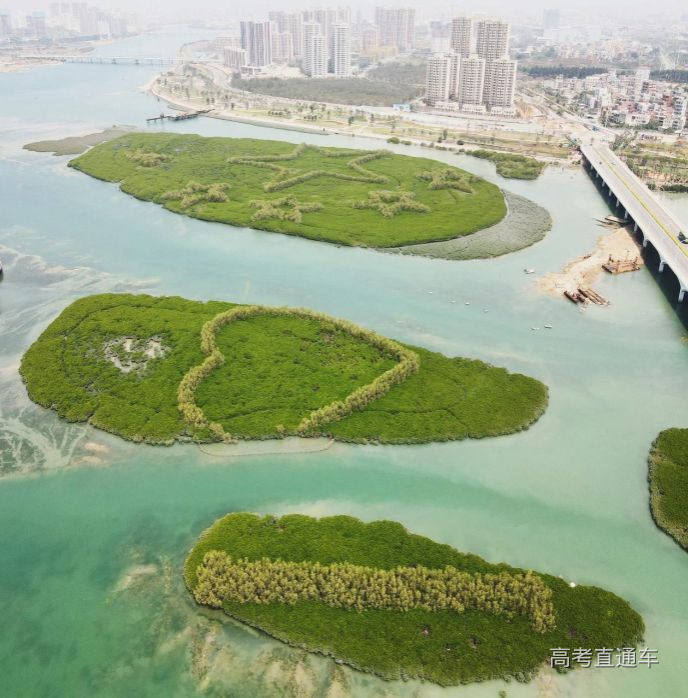 1765414986418451.jpeg 69397918e4b078fce44a2730.jpeg