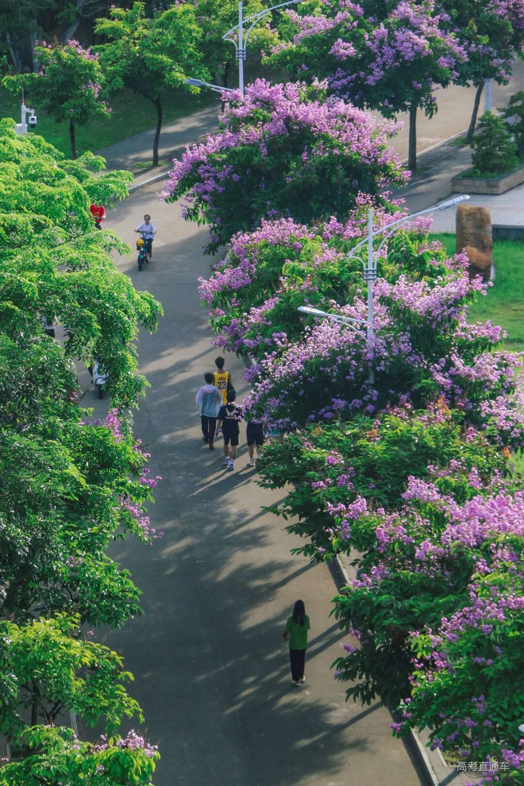 廖雯诗摄 (31).JPG