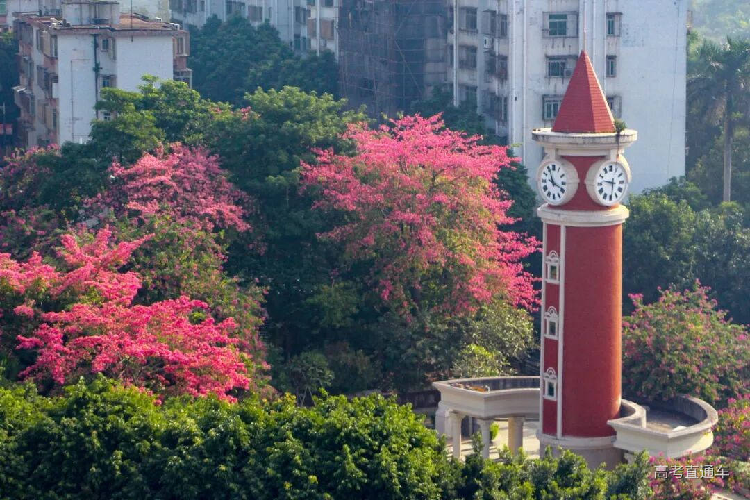 钟楼 廖雯诗摄.jpg