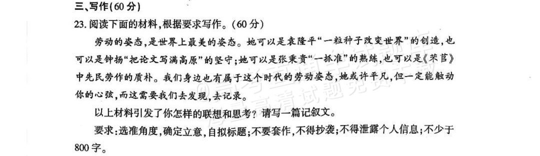 2026山东临沂高一11月期中考语文作文：劳动的姿态 第1页