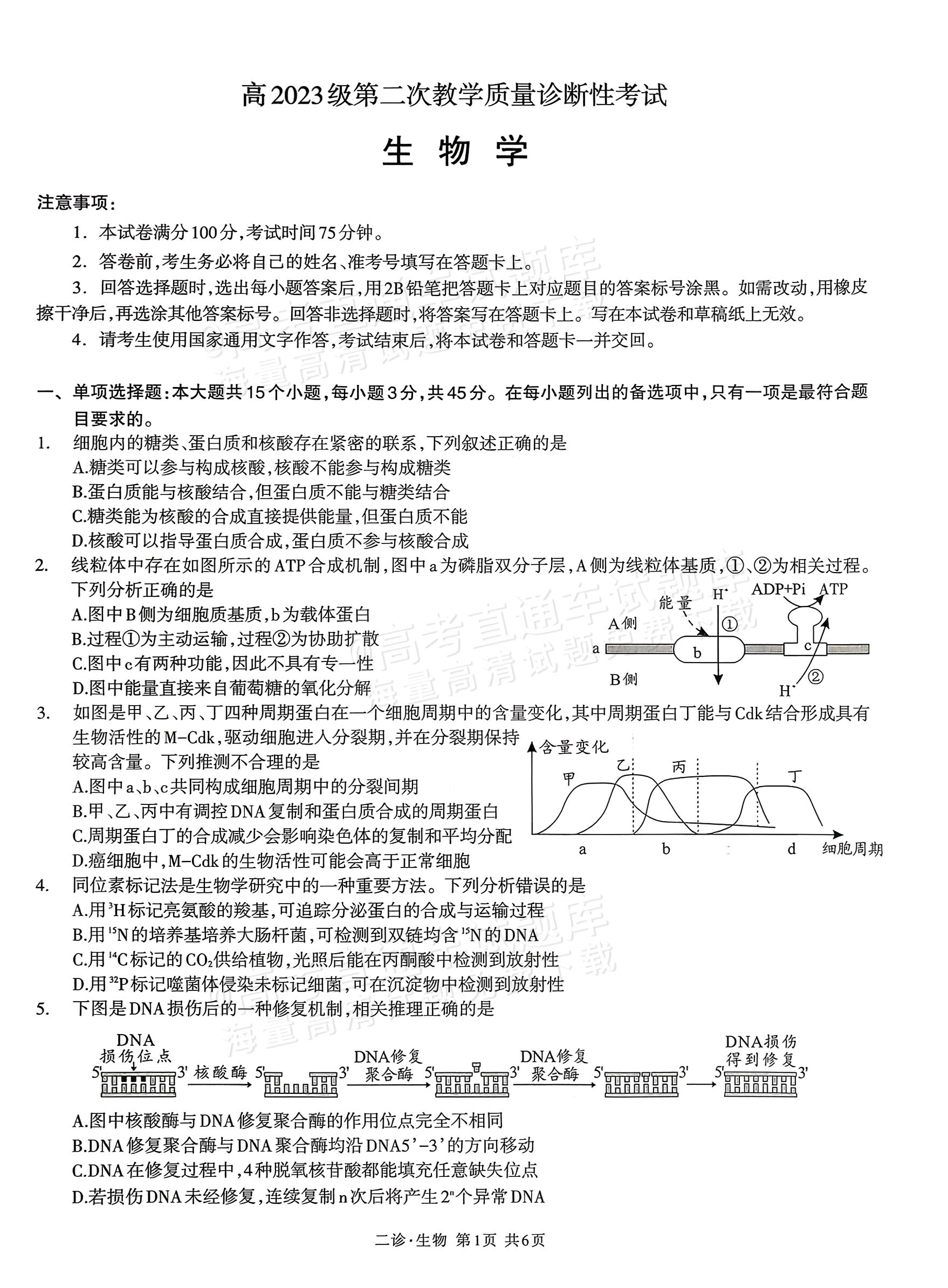 1769768746316770.png 2026泸州二诊生物试题及参考答案 第1页