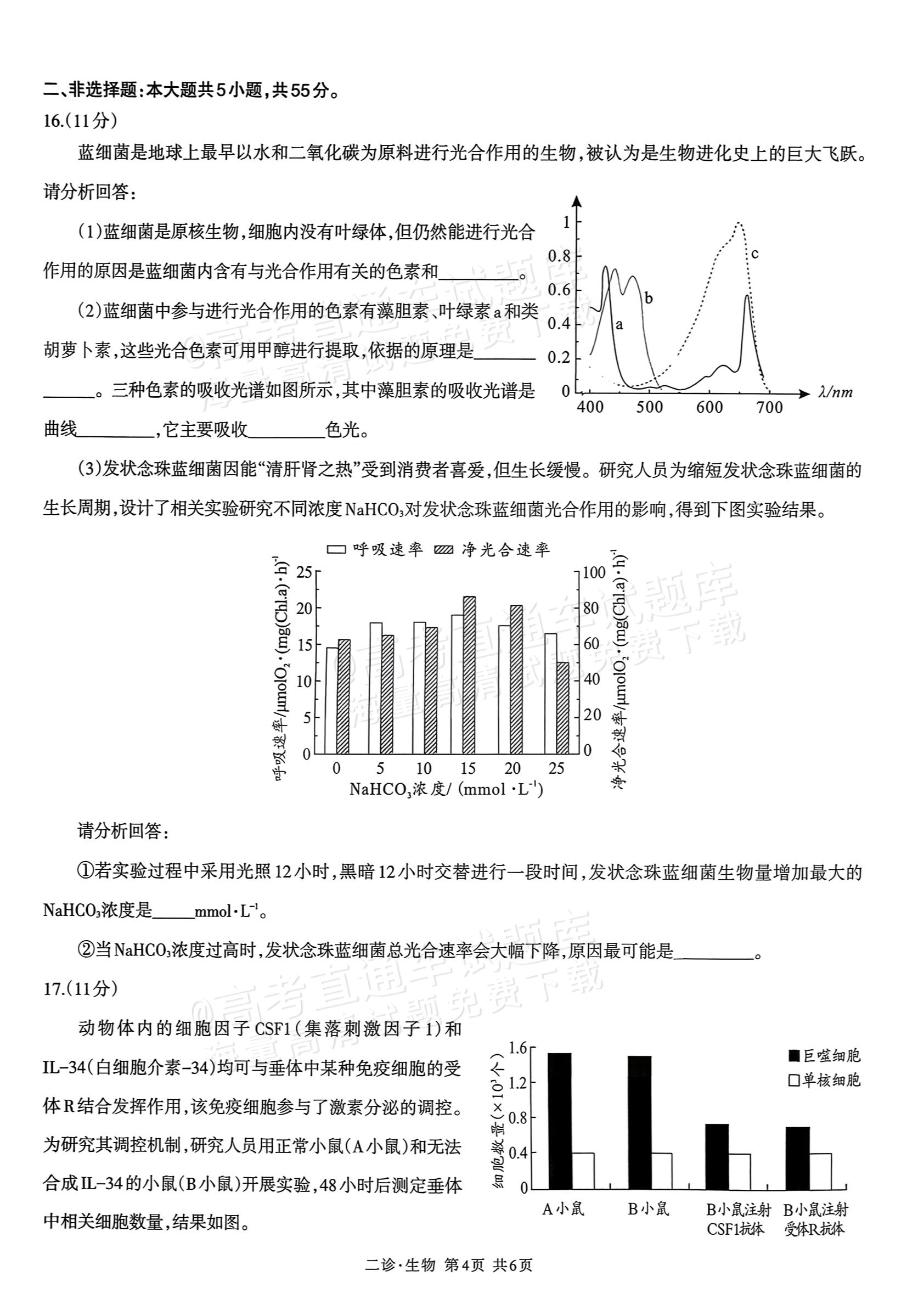 1769768761303563.png 2026泸州二诊生物试题及参考答案 第4页