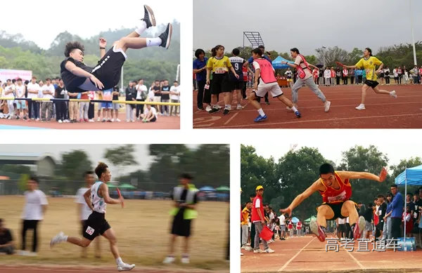 DSC07441-4.jpg 图片