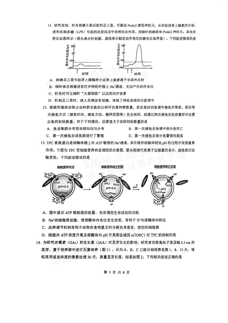 2026广东四校（华附省实广雅深中）高三1月联考生物试题及参考答案 第3页