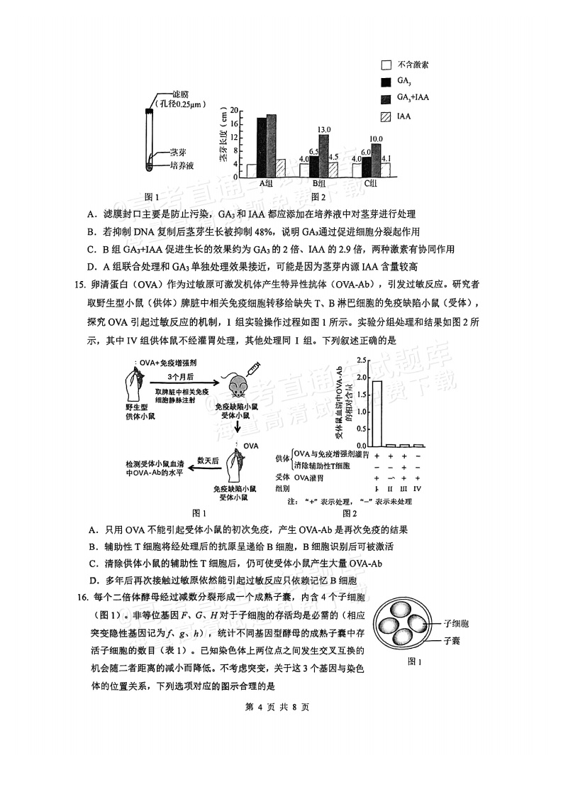 2026广东四校（华附省实广雅深中）高三1月联考生物试题及参考答案 第4页