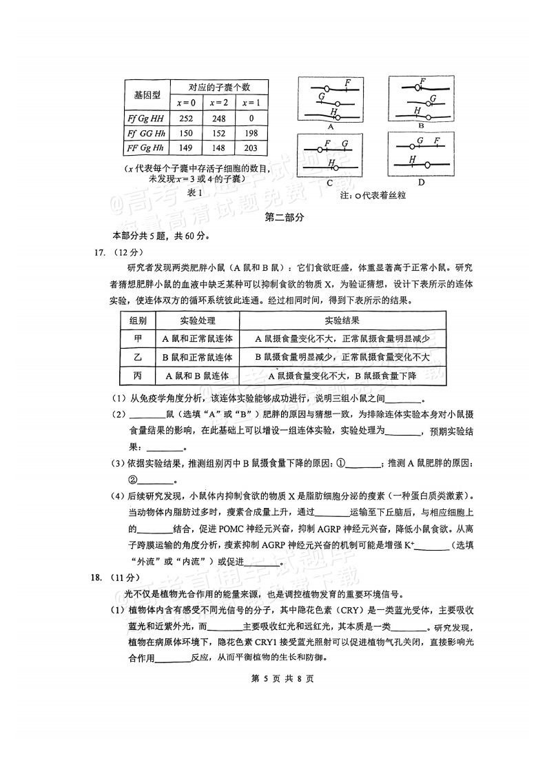 2026广东四校（华附省实广雅深中）高三1月联考生物试题及参考答案 第5页