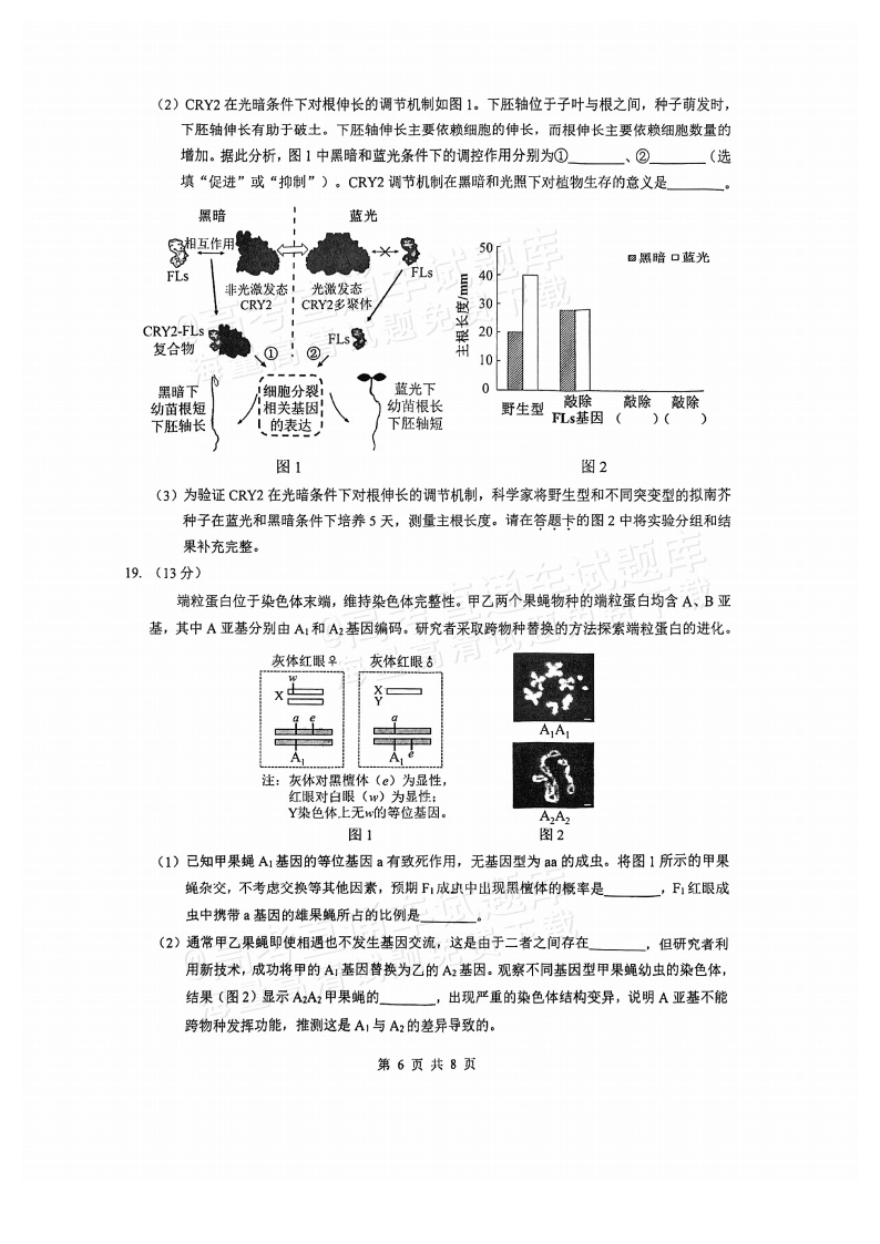 2026广东四校（华附省实广雅深中）高三1月联考生物试题及参考答案 第6页