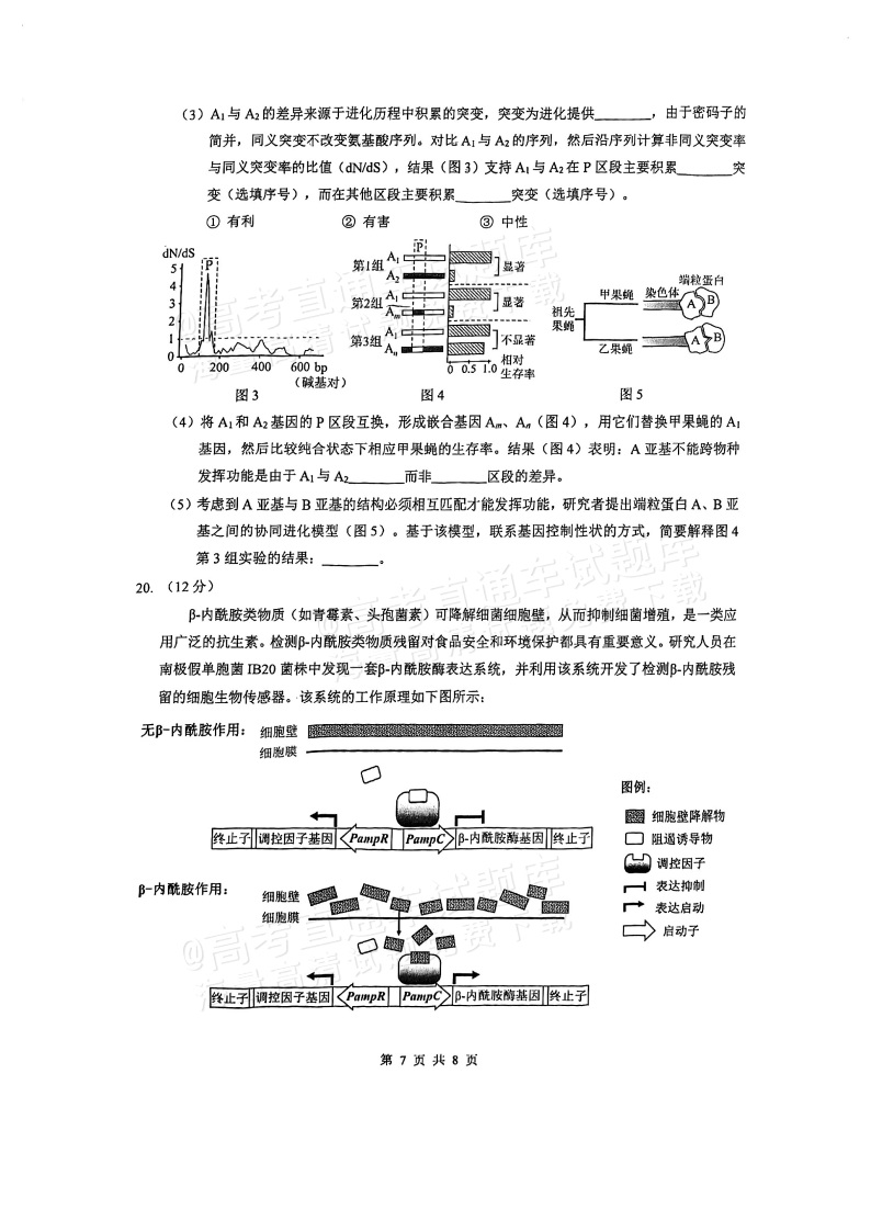 2026广东四校（华附省实广雅深中）高三1月联考生物试题及参考答案 第7页