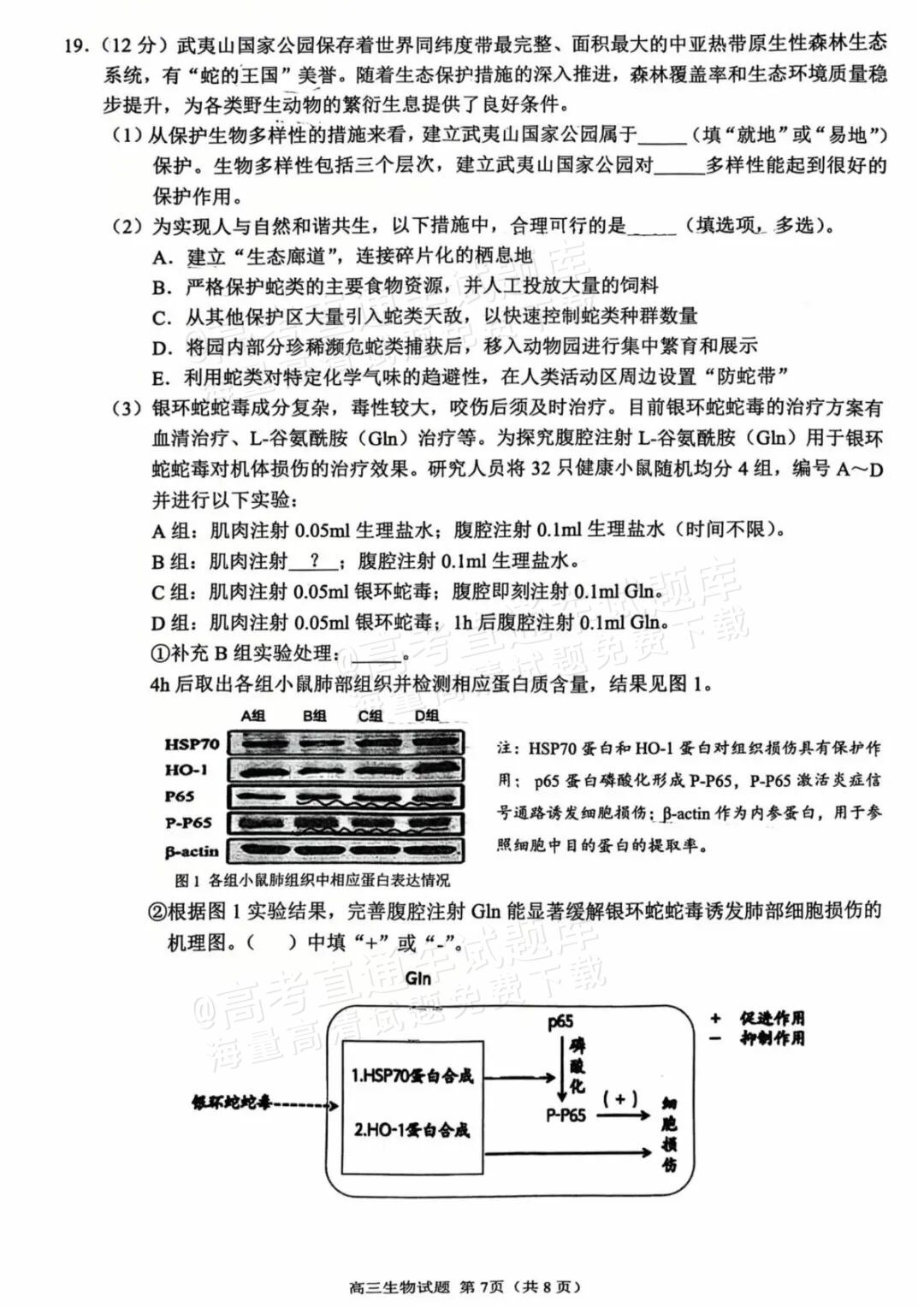 2026泉州二检生物试题及参考答案 第7页