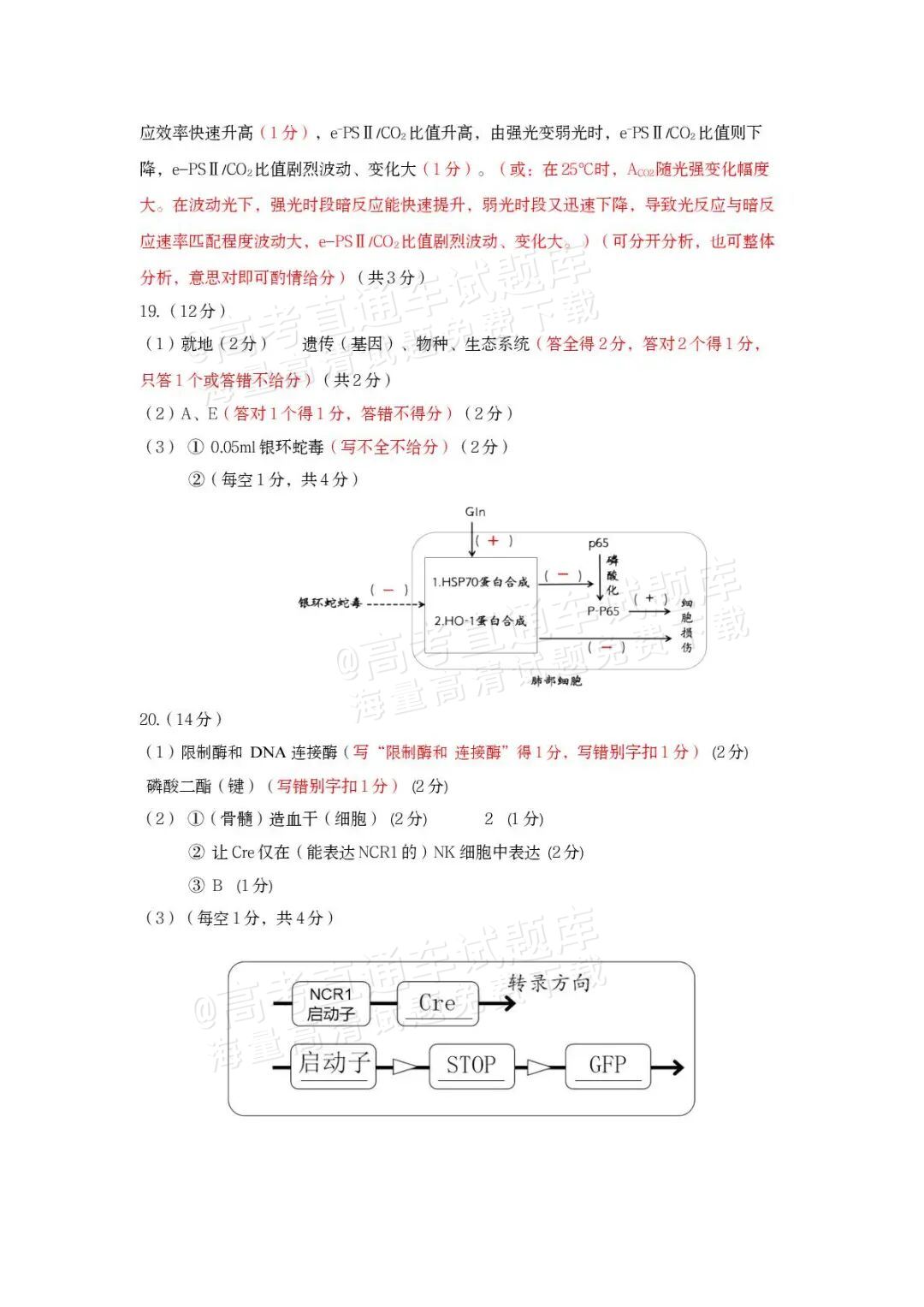 2026泉州二检生物试题及参考答案 答案 第2页